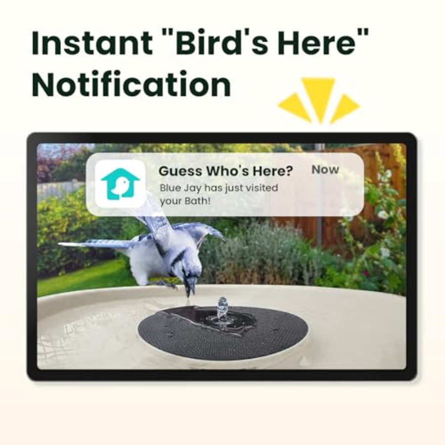 Bird Watching Smart Bird Bath  - Watches & Jewelry Tsukiu incelemesi ve fiyatı