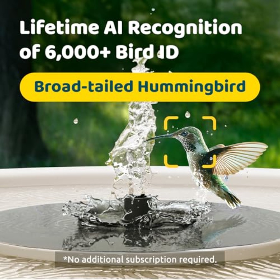 Bird Watching Smart Bird Bath  - Watches & Jewelry Tsukiu incelemesi ve fiyatı