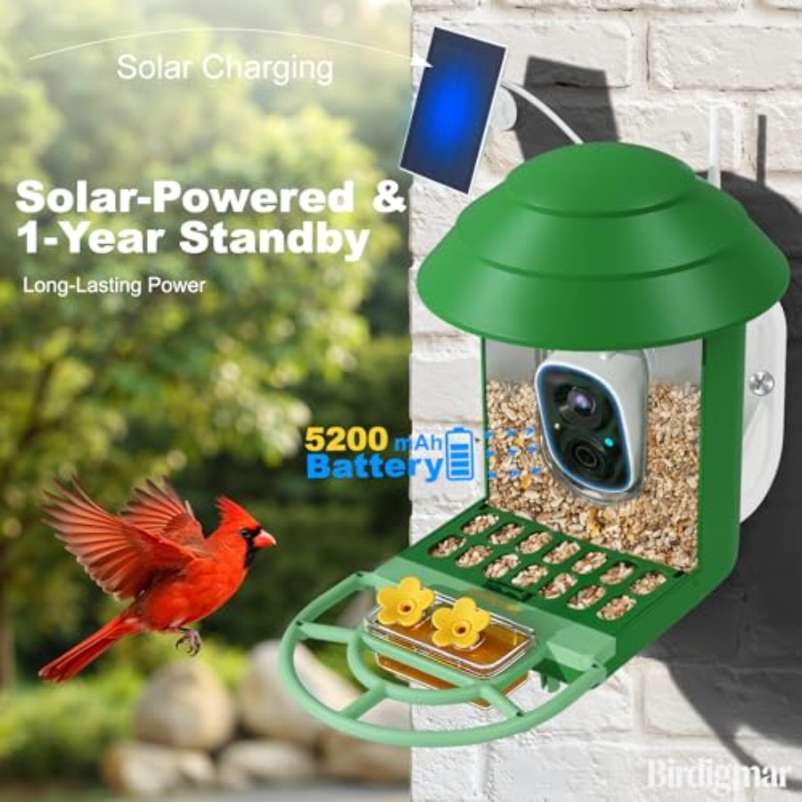 Bird Feeder with Camera for Ou - Watches & Jewelry Tsukiu incelemesi ve fiyatı